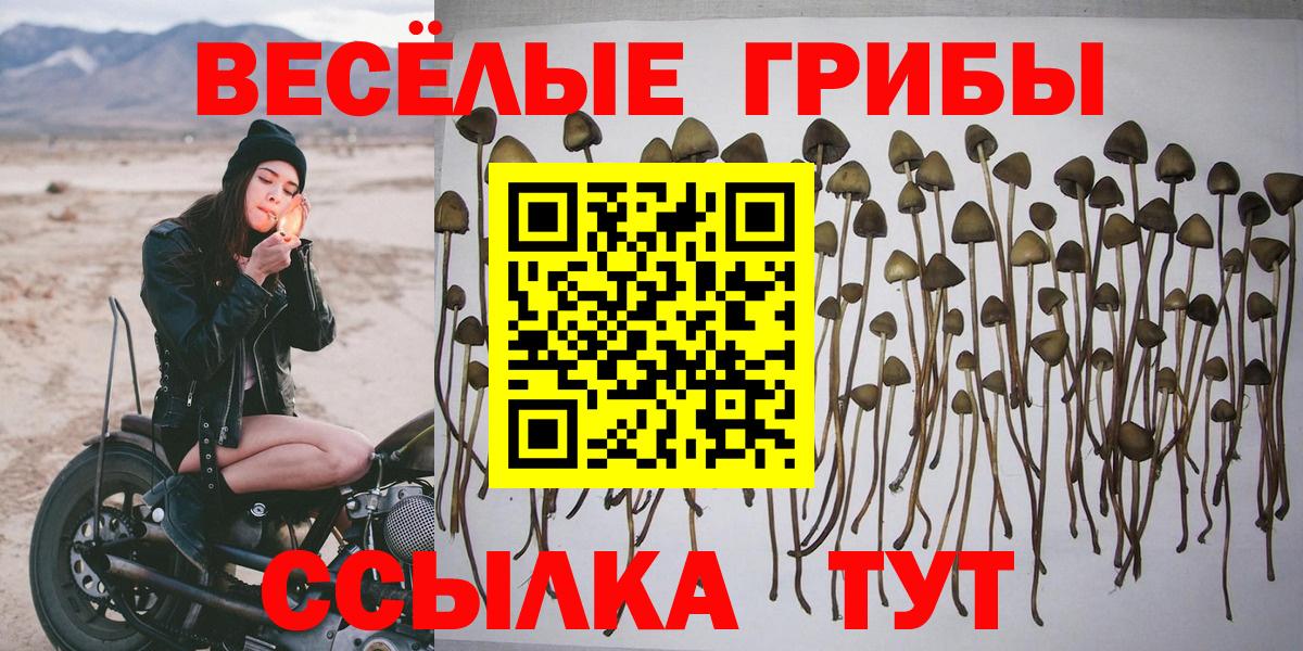 Галлюциногенные грибы мицелий Уварово