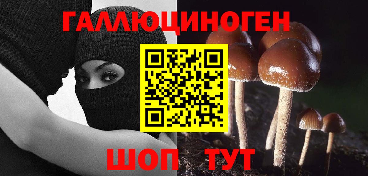 Псилоцибиновые грибы MAGIC MUSHROOMS  Вход с VPN  Уварово  наркотики  Псилоцибиновые грибы MAGIC MUSHROOMS 
